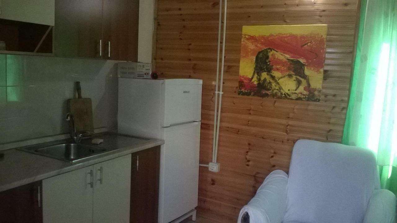 VelipojëKolonia E Artistave公寓 外观 照片